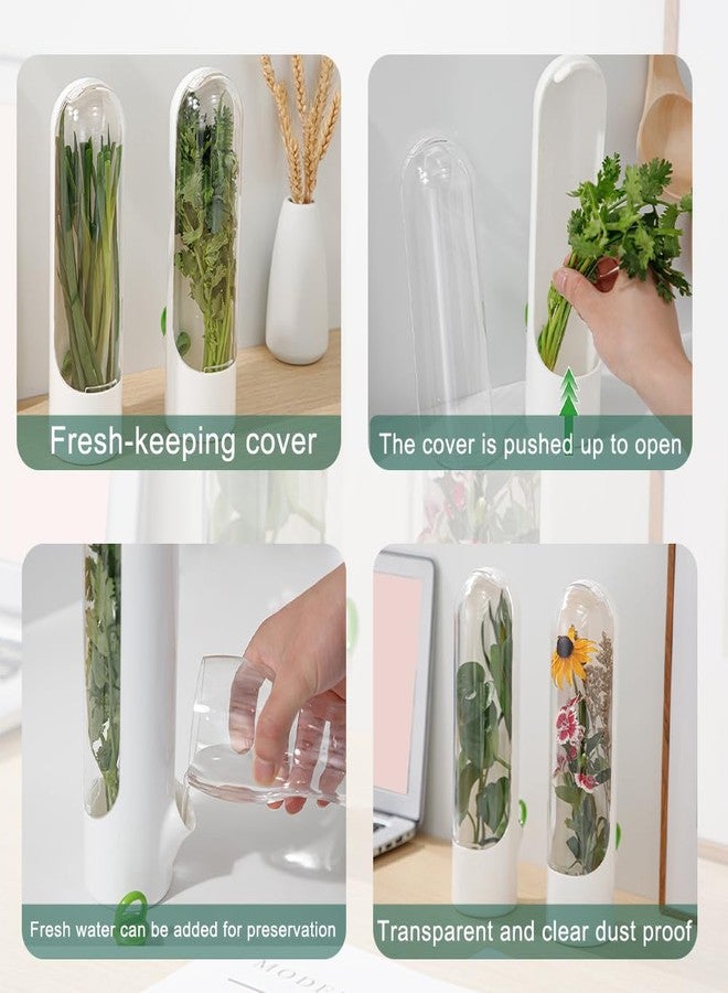 Restynic 2 Pack Herb Keeper Container for Refrigerator, Clear Storage Bottle for Cilantro Parsley Mint, Fresh Produce Saver, Extends Freshness for 2-3 Weeks - Image 4